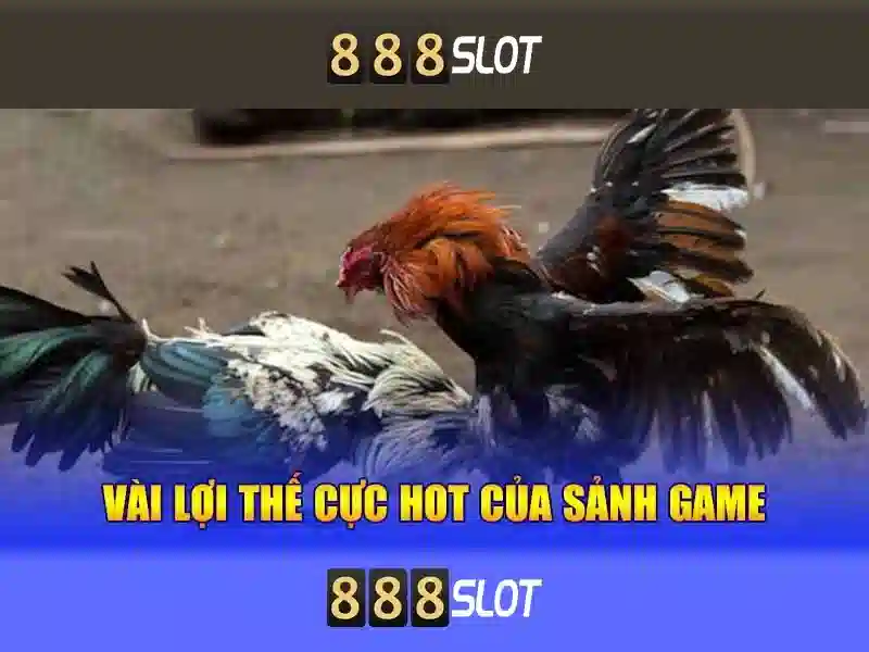 Ưu Đãi 888slot