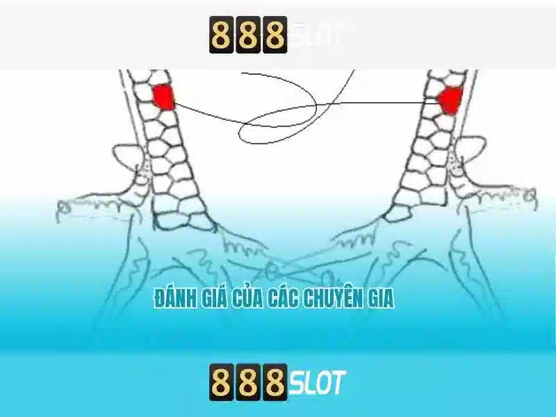 Hướng Dẫn Đăng Nhập 888slot Login App