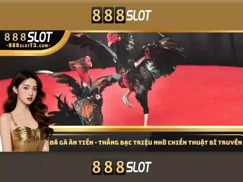 Trách Nhiệm Của Người Chơi