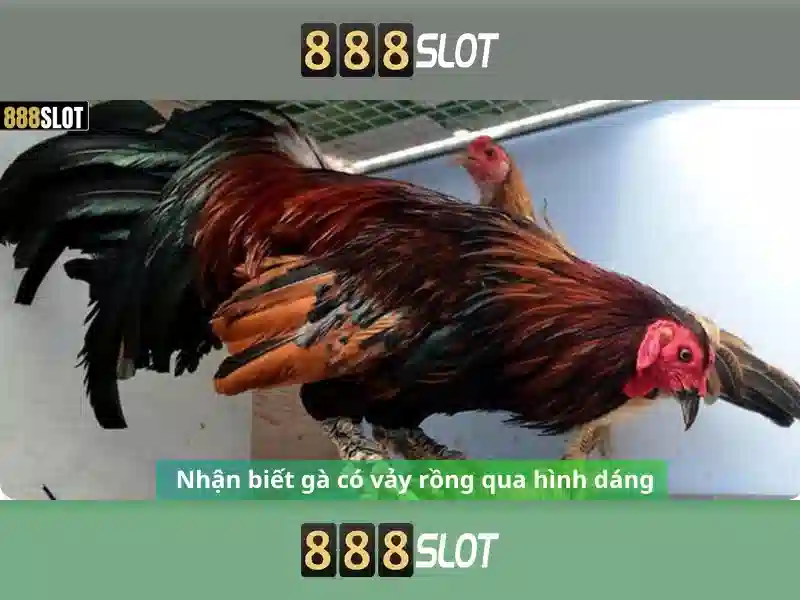 888SLOT – Nền Tảng Cá Cược Trực Tuyến Uy Tín 2026