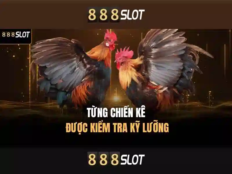 Đăng Nhập 888SLOT – Trải Nghiệm Slot Đỉnh Cao 2026