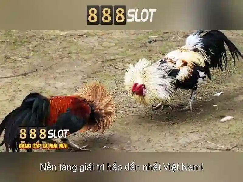 888slot rtp Công Nghệ