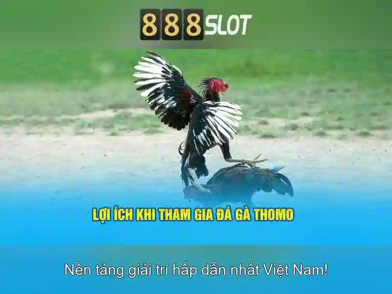 Trải nghiệm cá cược 888SLOT