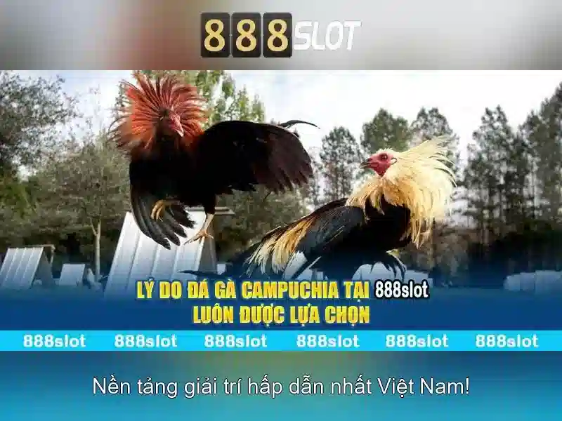 Ưu đãi đặc biệt
